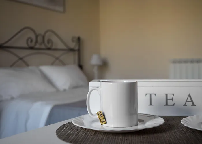 アッフィッタカーメレ ルナーマル